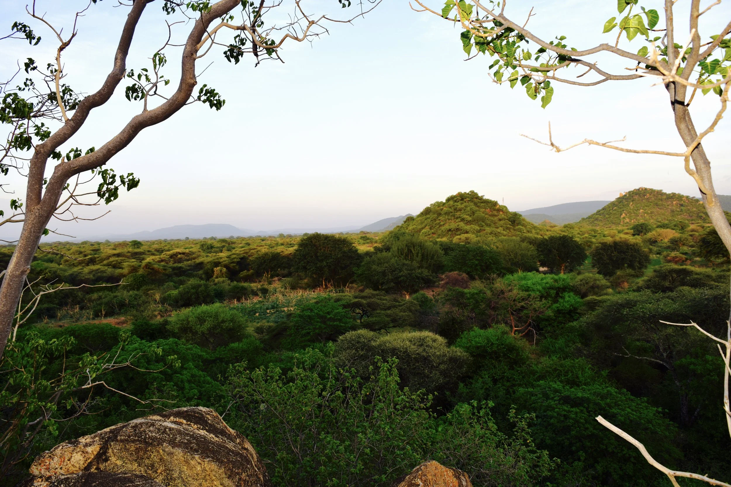 Lake Eyasi cultural tour cost